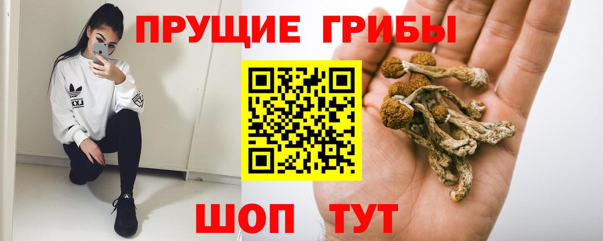 Галлюциногенные грибы прущие грибы Тобольск